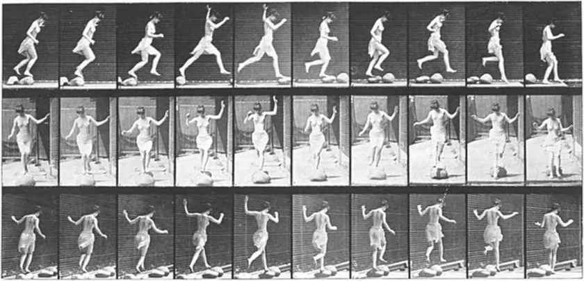 1882_8_59-jumping-series-motion